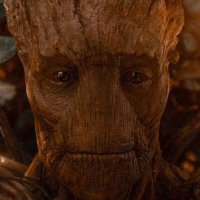 Groot (@grootbahiano) 's Twitter Profile