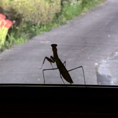 bellteue1230's profile picture. 