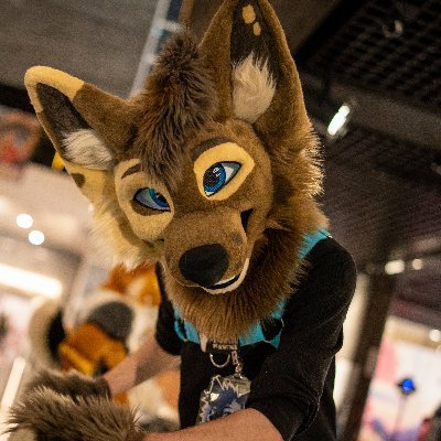 Moof πΊ / Chip πΆ Profile