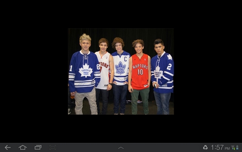 Love the boys, who have stole my heart! hope to be able to see or meet @onedirection someday! #1DtoAllOfCanada p.s. i follow everyone back :)