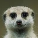 4Ltupac_shakur's profile picture. 