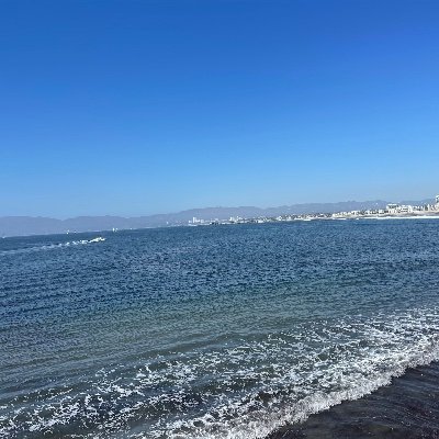 JColabelli's profile picture. 