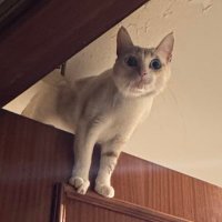 No (@luckiitnomass) 's Twitter Profile