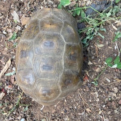 sportypills's profile picture. Chasing the bag