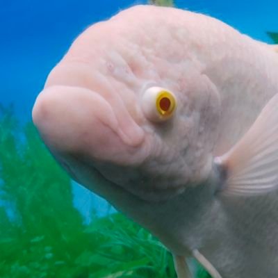 gifnameinsta's profile picture. 