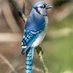 ChillMill (@chillmill_) Twitter profile photo ChillMill (@chillmill_) Twitter profile photo