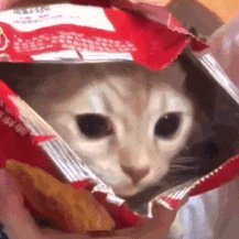 hybyrn's profile picture. (18) .