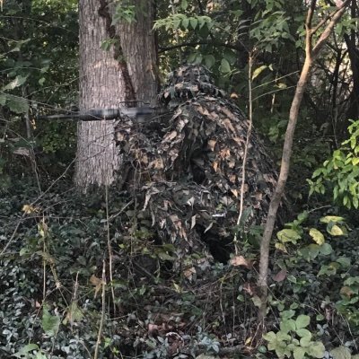 MCCwraith's profile picture. Remember to get vaccinated or a vaccinated person might get sick from a virus they got vaccinated against because you’re not vaccinated.” - author unknown