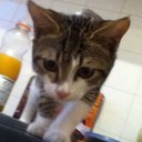 Jeremy Roche - @Jer_Roche - Twitter