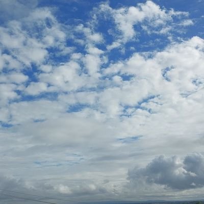 svejepropalo's profile picture. in God we trust