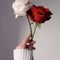 شيخه (@shoooooho22) 's Twitter Profile