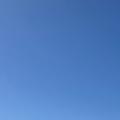 alexanderngyn's profile picture. 