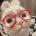 🌸 ace 🦇 :(((( tr!pangi I miss you already (@vannesa_123456) Twitter profile photo 🌸 ace 🦇 :(((( tr!pangi I miss you already (@vannesa_123456) Twitter profile photo