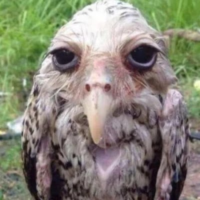 PeterGriff43632's profile picture. 