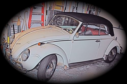 EgyptJack's profile picture. American lawyer in Cairo.