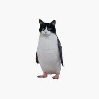 catwingg's profile picture. $10 and a dream