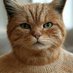 🐈ネコ山⛰️ (@pepepeyangcat) Twitter profile photo 🐈ネコ山⛰️ (@pepepeyangcat) Twitter profile photo