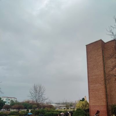 multicomme123's profile picture. tooyng