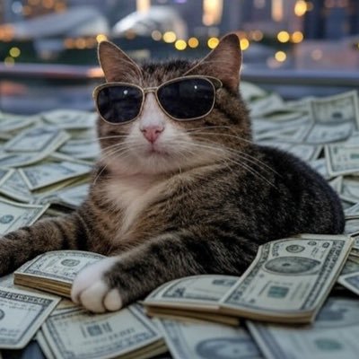 A lazy investor. $TSLA $PLTR $AMD investor. Loves all things tech. Dabbles in IOT, Arduino, Android. Likes to code, hack. Hates fragile STRAWBERRIES/SNOWFLAKES