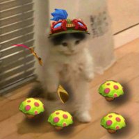 sammy (@estrokittychamp) 's Twitter Profile