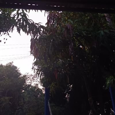 JoseEdgar21247's profile picture. 