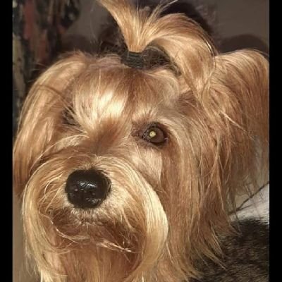 GilbertoRJ1977's profile picture. Uma pessoa verdadeira