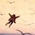P3rky7 (@p3rky7_) Twitter profile photo P3rky7 (@p3rky7_) Twitter profile photo