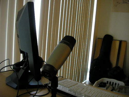 Interior Designer, Musician