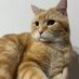William smith (@jaiu879) Twitter profile photo William smith (@jaiu879) Twitter profile photo