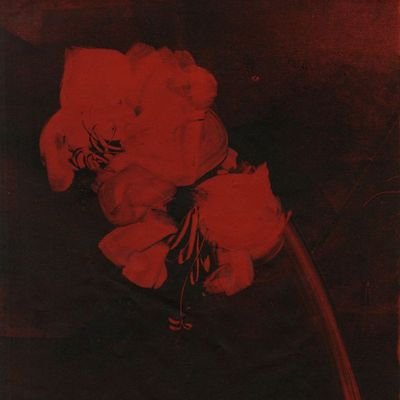 _anthora's profile picture. 