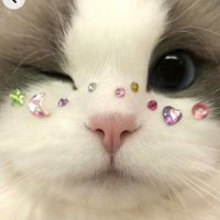 Lala (@oqcf0) Twitter profile photo