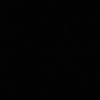 q (@quinnkasal) 's Twitter Profile