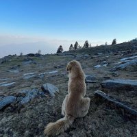 Shubham Koli (@shubham_web3) 's Twitter Profile