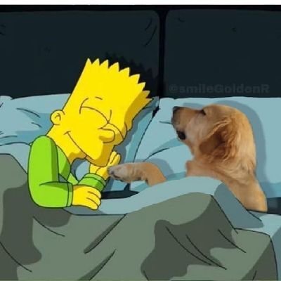 josuekylie's profile picture. 