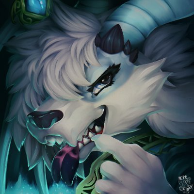 Noxxさんのプロフィール画像