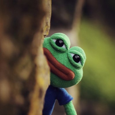 shang9xin's profile picture. v：mspashang