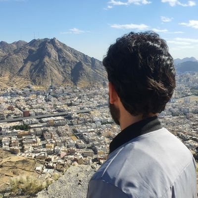ولما بدت حوران و الآل دونها. *** نظرت فلم تنظر بعينيك منظراً