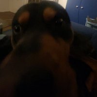 ππΆπππππΆπ (@lxcktalk) 's Twitter Profile