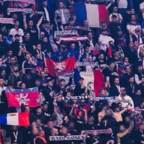 nZoo_pt's profile picture. 