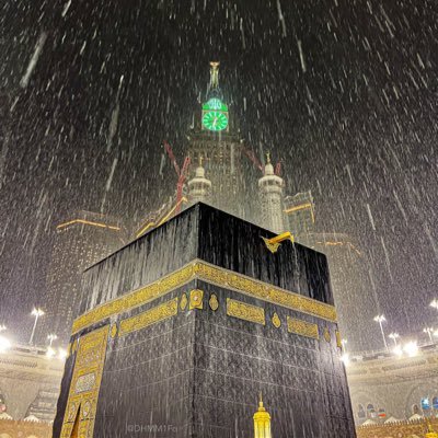 axxdk511's profile picture. حبيب