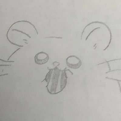 hamham_popo's profile picture. 🐁cute aggression❤️‍🩹主に鼠さん小動物10🕷️暇さえあれば旧道、ダム湖、ドライブ。インディーズ系ゲーム実況を好んで見てる。連れの付き合い程度にサウナとかいくよ。👁️‍🗨️フォロー注意事項※独り言、引用、リポスト多めだよ