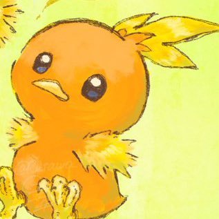 るたを。🪸🫧さんのプロフィール画像