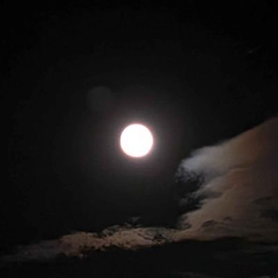 2ggrd_'s profile picture. phase-1