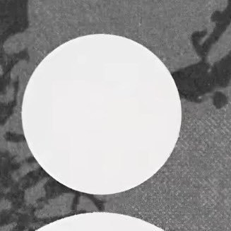 Rodwave1350831's profile picture. 