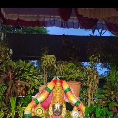 Babytrader32's profile picture. Trader and Investor.
This account is my trading journal.