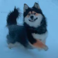 猛踹阳痿男屁股 (@zz2022i) 's Twitter Profile Photo 猛踹阳痿男屁股 (@zz2022i) 's Twitter Profile Photo