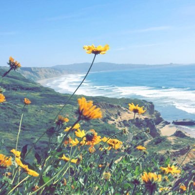 buysidebrio's profile picture. |Buyside|