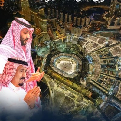 أكاديمية وعضو مجلس الأمناء بمؤسسة الأمير طلال بن عبدالعزيز الخيرية، عضو مجلس الشورى وعضو البرلمان العربي سابقاً.