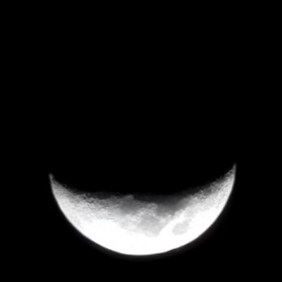 scale_moon's profile picture. Love of arts doesn't matter what it is for art, have a really good way of supporting ideas, Jester fan, Lovecraft fan, LGBTQ Friendly, racism is not allowed.