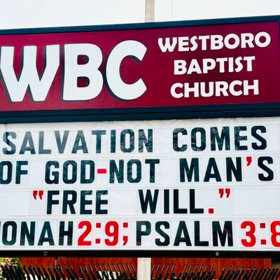 Rapdcrd's profile picture. 